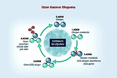 ozonla dezenfeksiyon